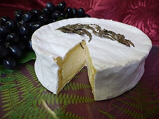 F-​Fougerou mind.​45% Rohm. 0,​7kg 