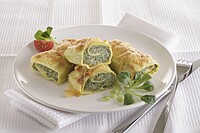 BW Alpen Maultaschen 30x100gr