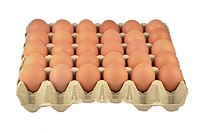 D-​Eier L 63g braun 30er Lagen 